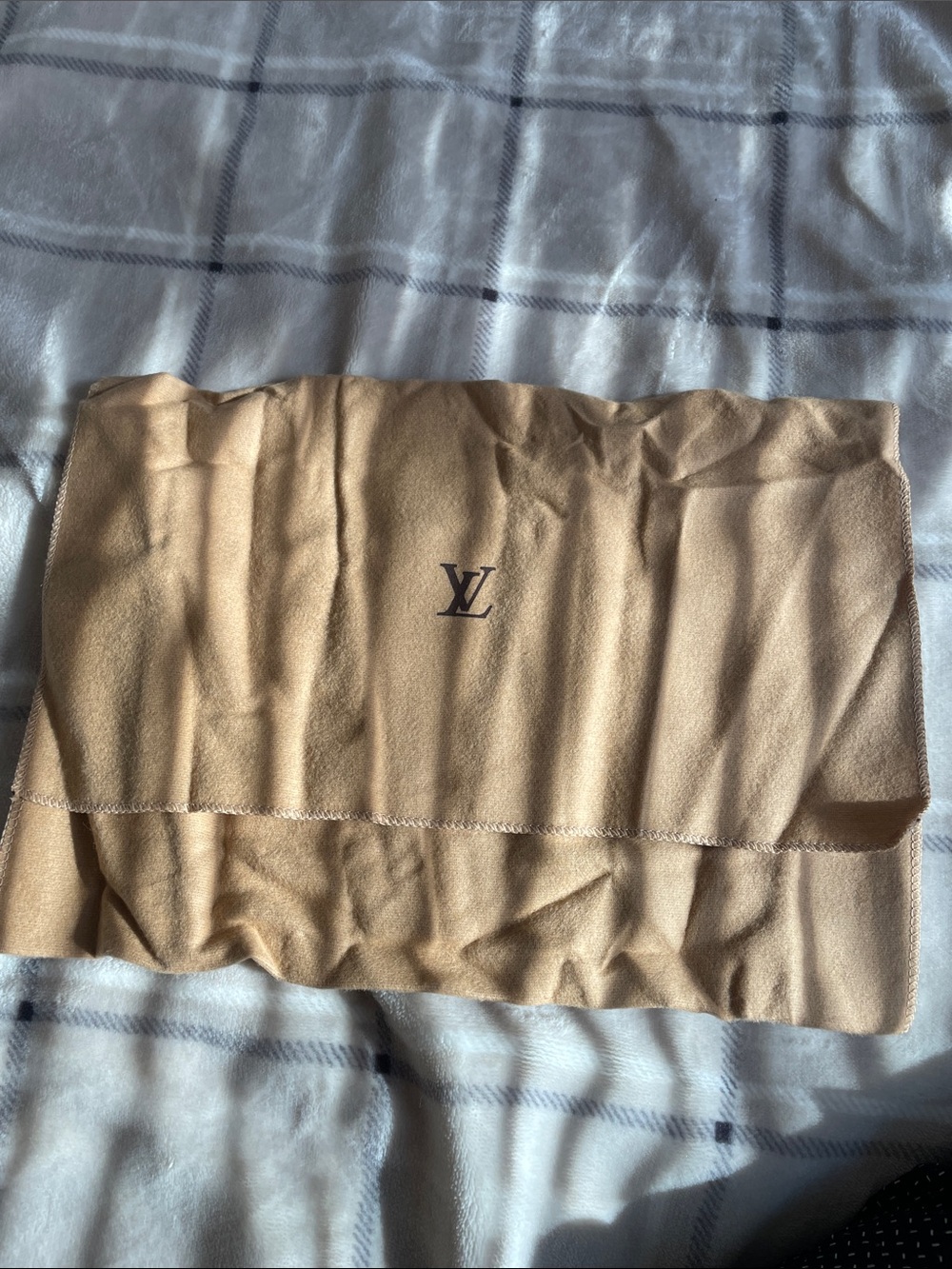 Authentic Louis Vuitton Dust bag